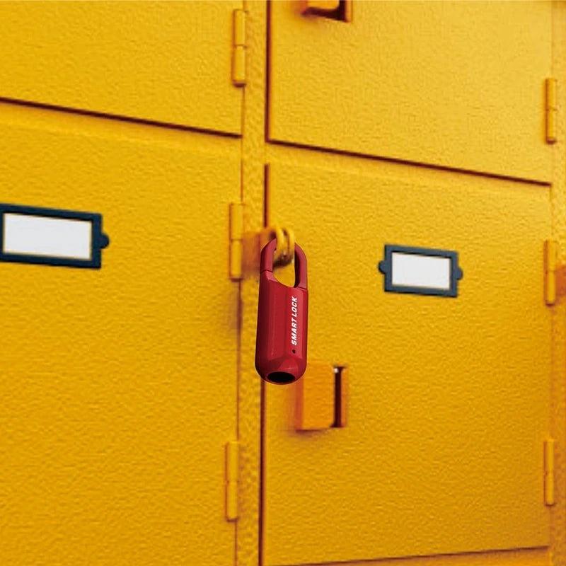 Fingerprint locker